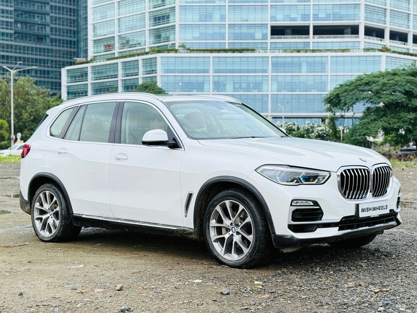 BMW X5 X-Line 30d