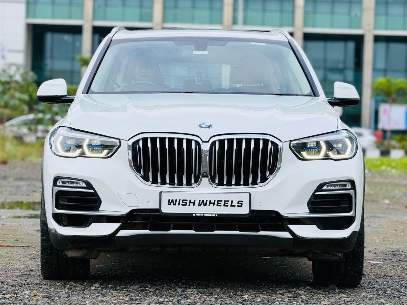 BMW X5 X-Line 30d