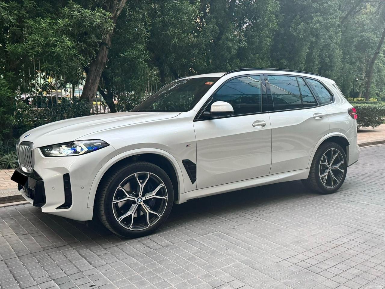 BMW X5 X-Line 30d